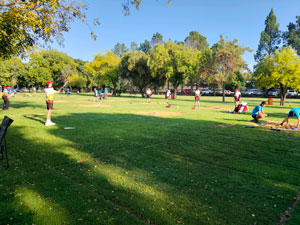 SA Senior Kampioenskappe 2026