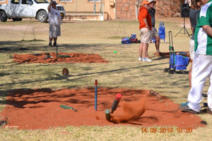 Suide Streeks Kampioenskappe